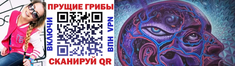 Псилоцибиновые грибы мухоморы  где купить   blacksprut ссылки  Тосно 